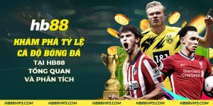 18 kham pha ty le ca do bong da tai hb88 tong quan va phan tich 1