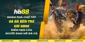 64 Kham pha cho tot ga da Ben Tre voi HB88 Diem hen cua nguoi dam me da ga