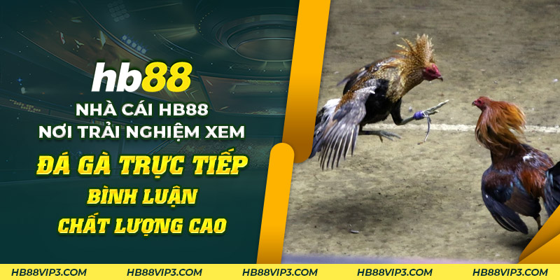 Nhà cái HB88 - Nơi xem đá gà trực tiếp bình luận chất lượng cao 1 69 Nha cai HB88 Noi trai nghiem xem da ga truc tiep binh luan chat luong cao