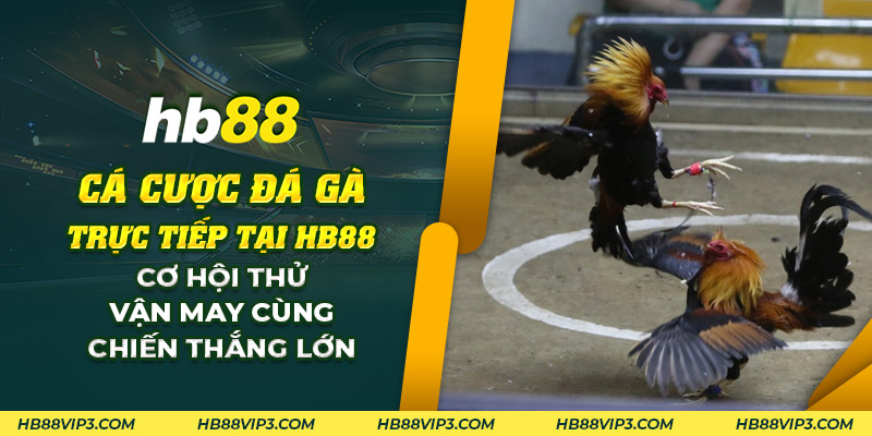 70 Ca cuoc da ga truc tiep tai HB88 Co hoi thu van may cung chien thang lon