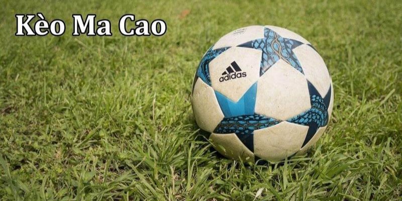 Kèo Ma Cao: Cách chơi và chiến lược thắng lợi hiệu quả! 2 Chi tiết cách đọc kèo Macao tại HB88