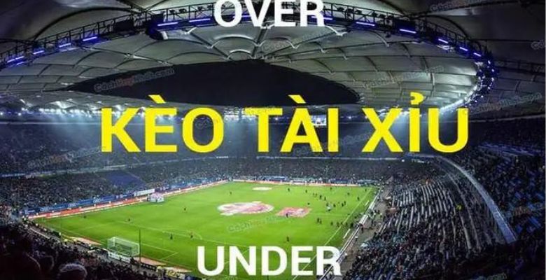 Kèo Tài Xỉu HB88 - Cơ hội kiếm tiền hấp dẫn cho người chơi 4 Chi tiết cách đặt kèo tài xỉu tại HB88