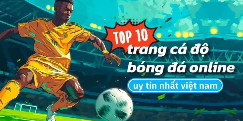 Trang cá độ bóng đá HB88: Nền tảng cá cược bóng đá hàng đầu 2 Tìm hiểu về trang cá độ bóng đá HB88